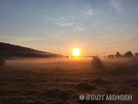 Blick vom Haus am See in den Morgenstunden 