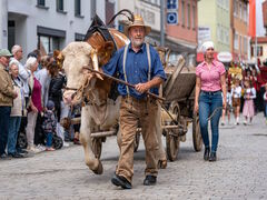Umzug beim Fuhrmannstag 