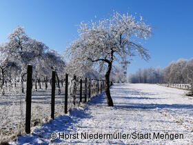Platz 1 - Raureif verhüllt den Aussichtsturm von Horst Niedermüller