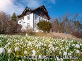 Platz 2: Blütenmeer vor der Villa von Markus Haile. 