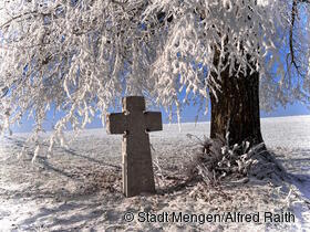 Platz 3: Winterbaum in Beuren von Alfred Raith. 