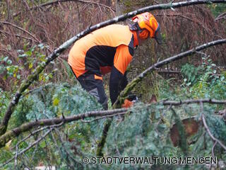 Die Forstwirte arbeiten die Sturmschäden auf. 
