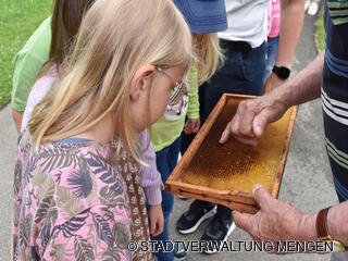 Vorschulkinder lernen etwas über Bienen