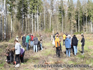 Die Siebtklässler der Sonnenlugerschule pflanzen mit den Forstwirten der Stadt und Freiwilligen Bäume ein. 
