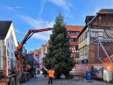 Weihnachtsbaum