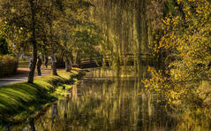 Landschaftsaufnahme Mengener Ablach