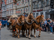 Events &amp; Termine