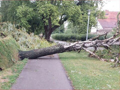 Feuerwehr und Bauhof im Dauereinsatz
