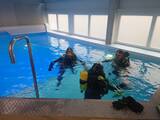 Gemeinsame Tauchübung