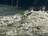 Standarddatei