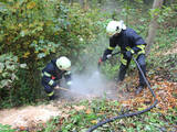 Kleinbrand im Wald