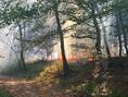 Überlandhilfe Flächenbrand