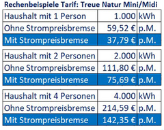 Rechenbeispiel Strompreisbremse