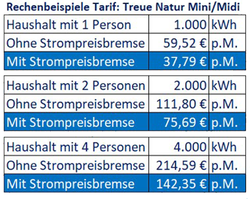 Rechenbeispiel Strompreisbremse
